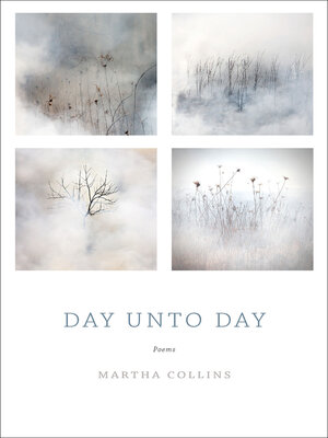 cover image of Day Unto Day
